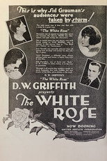 The White Rose