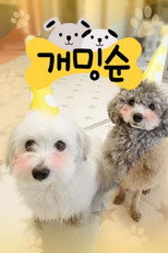 개밍순 poster