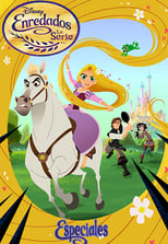 Poster for Rapunzel's Tangled Adventure Season 0