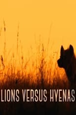 Poster for Lions versus Hyenas 