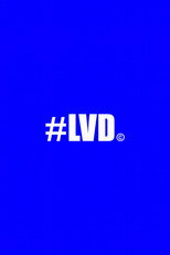 Les vlogs douteux poster