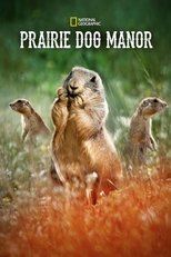 Poster for Prairie Dog Manor