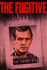 Poster for The Fugitive Season 1