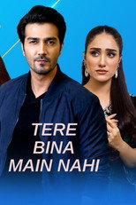 Tere Bina Mein Nahi poster