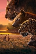 Kingdom Kingdom