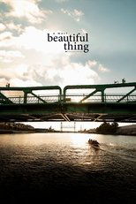 Poster for A Most Beautiful Thing 