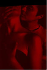 Poster for Dilemma of Modern Sex Simulation 