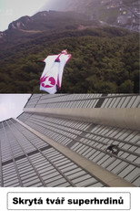 Super-héros, la face cachée poster