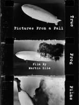 Poster for Pictures From a Fall
