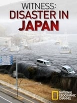 Poster for Witness: Disaster in Japan 