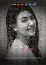 Slice of Luna poster