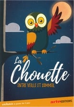 Poster for La chouette du cinema, entre veille et sommeil