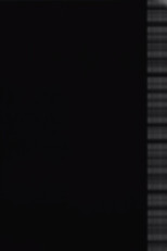 Auricon Test #2