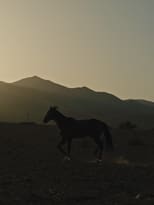 Poster for Pourquoi As-Tu Laissé le Cheval à sa Solitude?