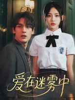 爱在迷雾中 poster