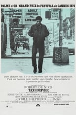 Taxi Driver serie streaming