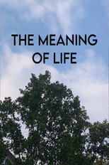 The Meaning Of Life poster