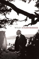 Wild Strawberries poster movie