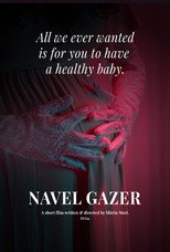 Navel Gazer poster