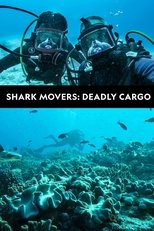 Shark Movers: Deadly Cargo