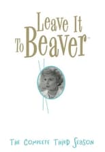 Poster for Leave It to Beaver Season 3