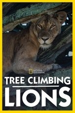 Poster for Tree Climbing Lions