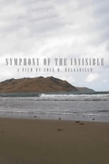 Poster for Symphony Of The Invisible