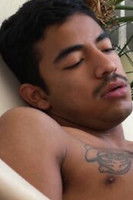 Foto retrato de Mexican Wolf