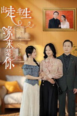出走半生缘来是你 poster
