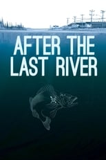 Poster di After the Last River