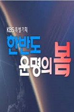 한반도 운명의 봄 poster