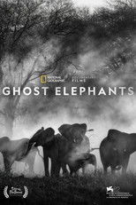Ghost Elephants (2025) poster