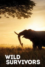 Wild Survivors poster