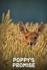 Poster for Poppy's Promise: Secret Life in a Cornfield