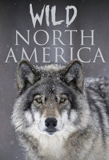 Wild North America poster