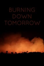Poster for Burning Down Tomorrow