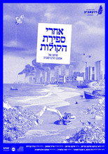 Poster for After Counting All Votes
