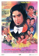 ลูกทุ่งเสียงทอง poster