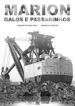 Poster for Marion, Galos e Passarinhos