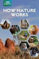 Poster for How Nature Works 