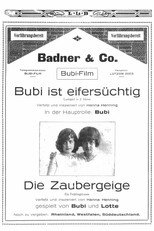 Die Zaubergeige