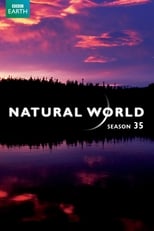 Poster for Natural World Season 35
