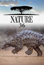 Poster for Nature Season 36