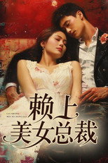 赖上美女总裁 poster