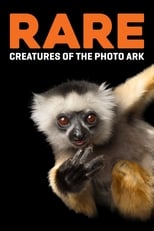 Poster for Rare: Creatures of the Photo Ark