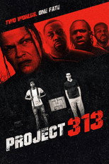 Project 313