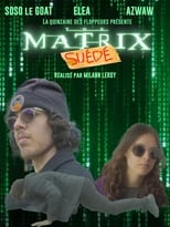 Poster for The Matrix : Suédé 