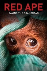 Poster for Red Ape: Saving the Orangutan