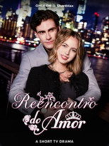Reencontro do Amor poster