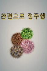 한편으로 정주행 poster